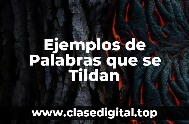 Ejemplos de Palabras que se Tildan