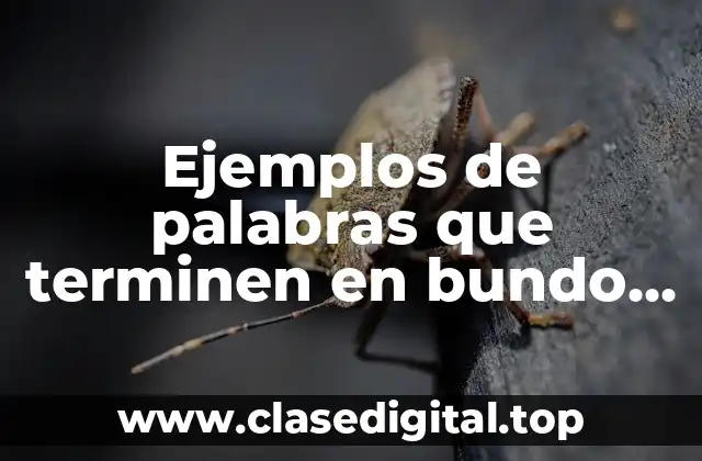 Ejemplos de palabras que terminen en bundo, bunda y bilidad