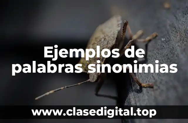Ejemplos de palabras sinonimias