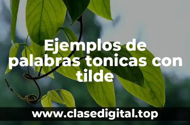 Ejemplos de palabras tonicas con tilde