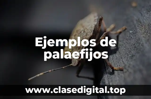 Ejemplos de palaefijos