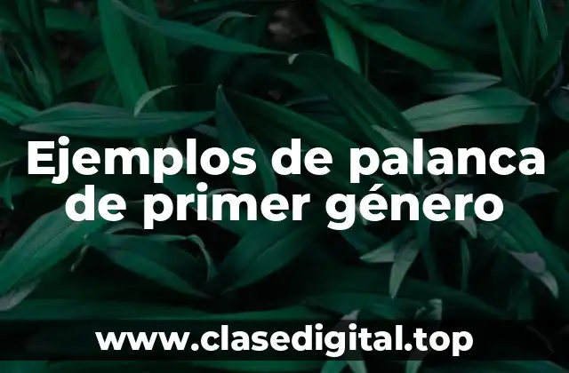 Ejemplos de palancas de primer género