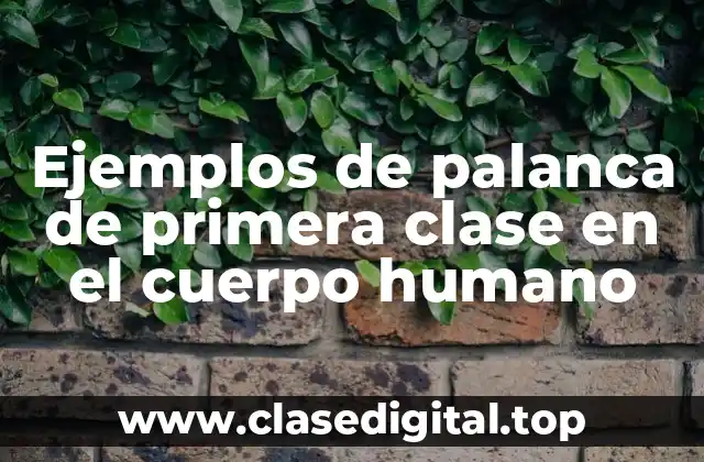 Ejemplos de palanca de primera clase en el cuerpo humano