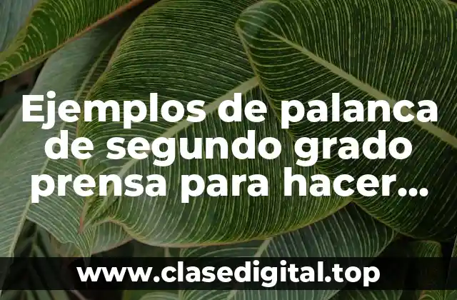 Ejemplos de palanca de segundo grado prensa para hacer tortillas
