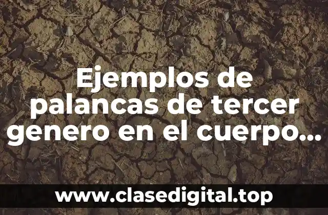 Ejemplos de palancas de tercer genero en el cuerpo humano