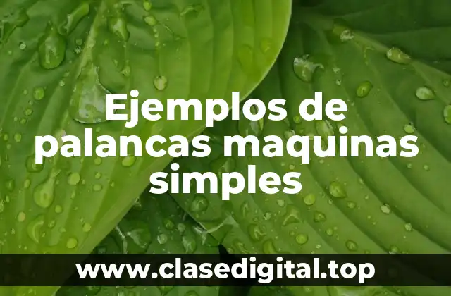 Ejemplos de palancas maquinas simples