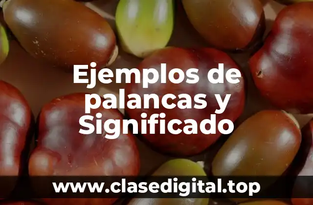 Ejemplos de palancas y Significado