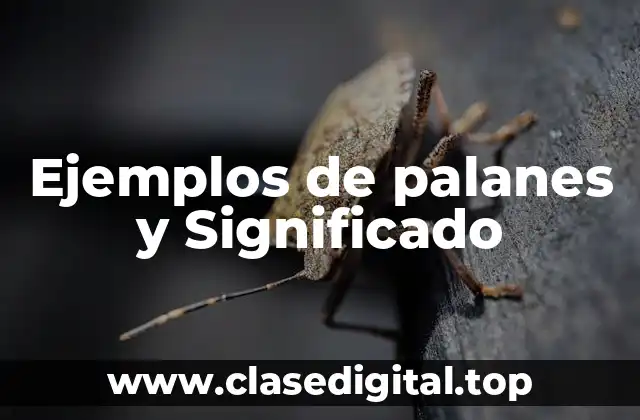 Ejemplos de palanes y Significado