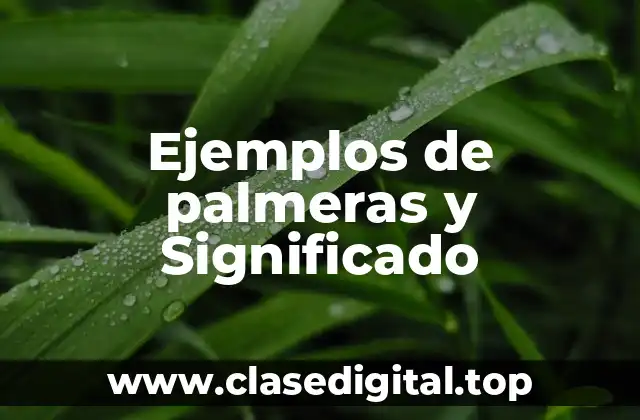 Ejemplos de palmeras y Significado
