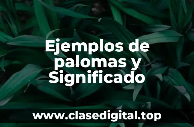 Ejemplos de palomas y Significado