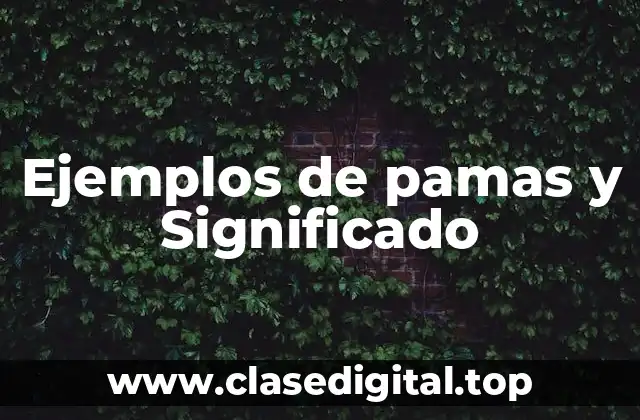 Ejemplos de pamas y Significado