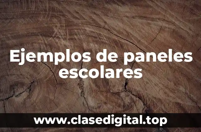 Ejemplos de paneles escolares