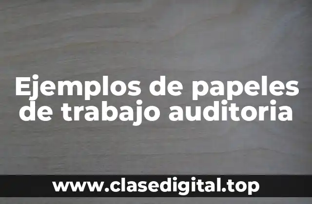 Ejemplos de papeles de trabajo auditoria