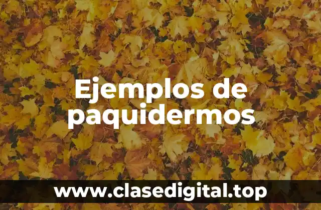 Ejemplos de paquidermos