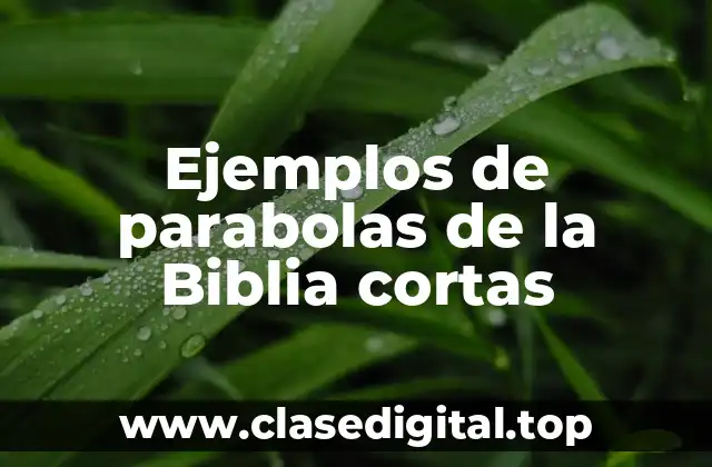 Ejemplos de parabolas de la Biblia cortas