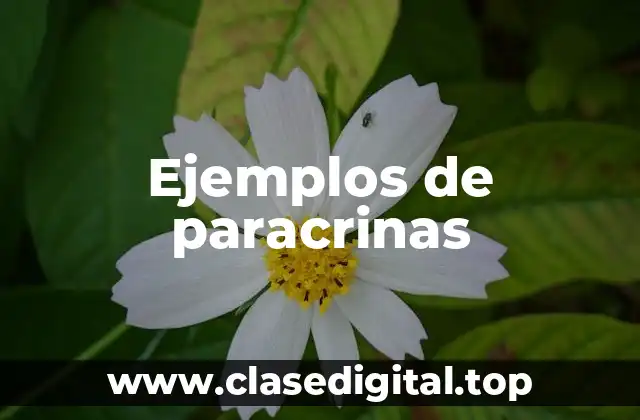 Ejemplos de paracrinas