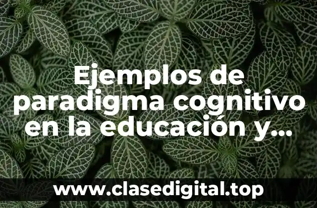 Ejemplos de paradigma cognitivo en la educación y Significado
