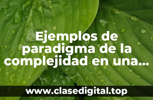 Ejemplos de paradigma de la complejidad en una institución educativa