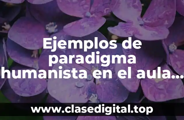 Ejemplos de paradigma humanista en el aula y Significado