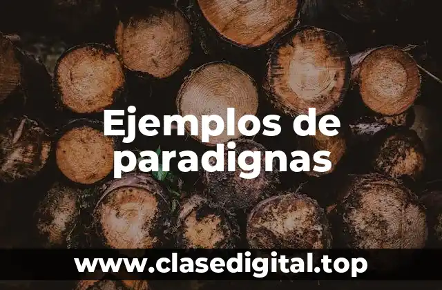Ejemplos de paradignas