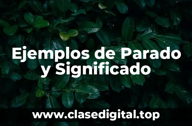 Ejemplos de Parado y Significado