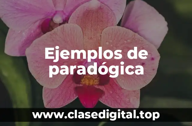 Ejemplos de paradógica