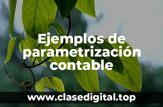 Ejemplos de parametrización contable