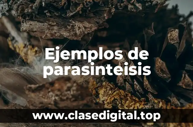 Ejemplos de parasinteisis