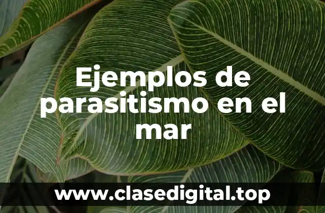 Ejemplos de parasitismo en el mar