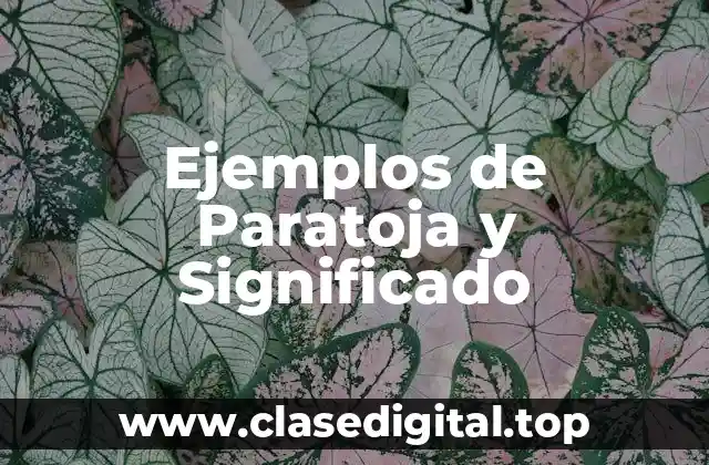 Ejemplos de Paratoja y Significado