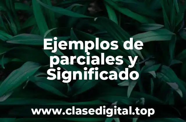 Ejemplos de parciales y Significado