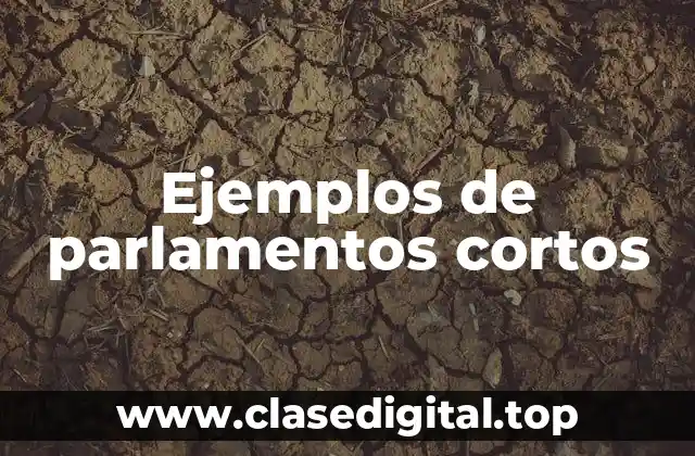 Ejemplos de parlamentos cortos