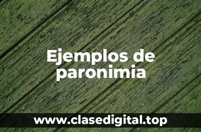 Ejemplos de paronimia