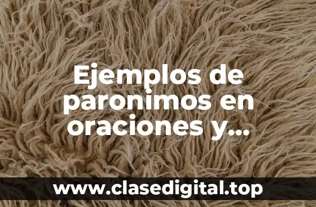 Ejemplos de paronimos en oraciones y Significado