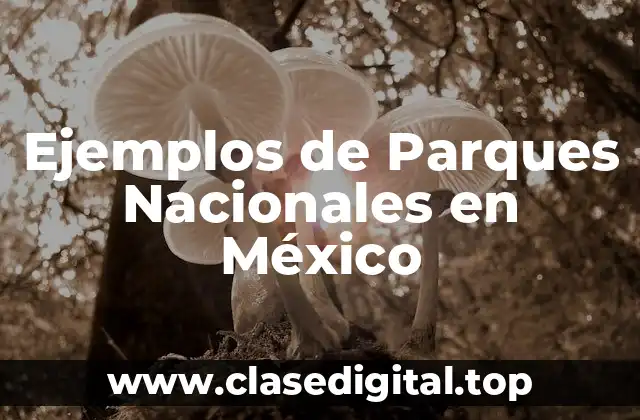 Ejemplos de Parques Nacionales en México