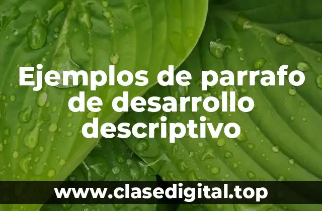 Ejemplos de parrafo de desarrollo descriptivo