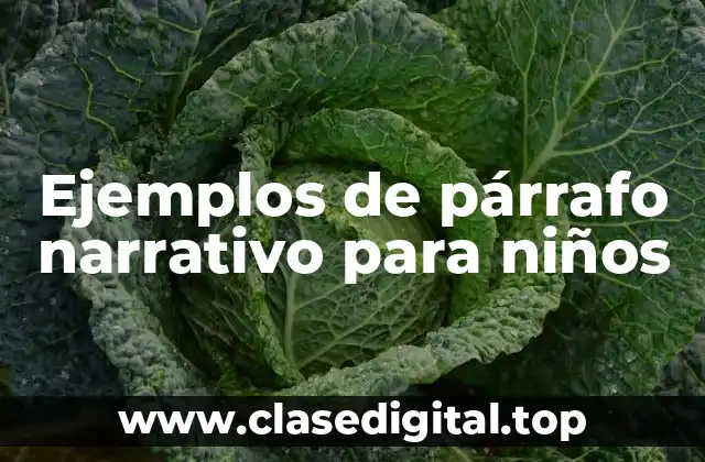 Ejemplos de párrafo narrativo para niños