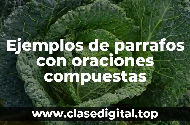 Ejemplos de parrafos con oraciones compuestas