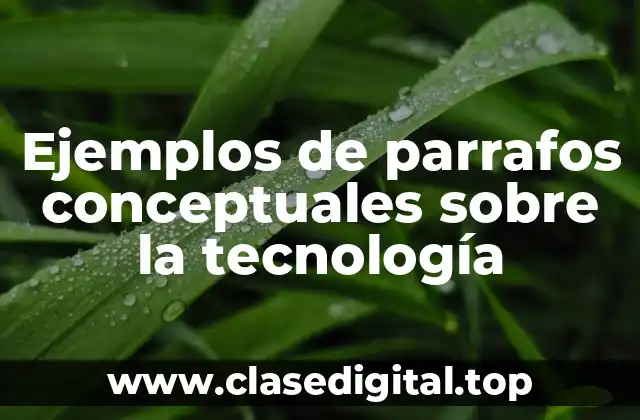Ejemplos de parrafos conceptuales sobre la tecnología