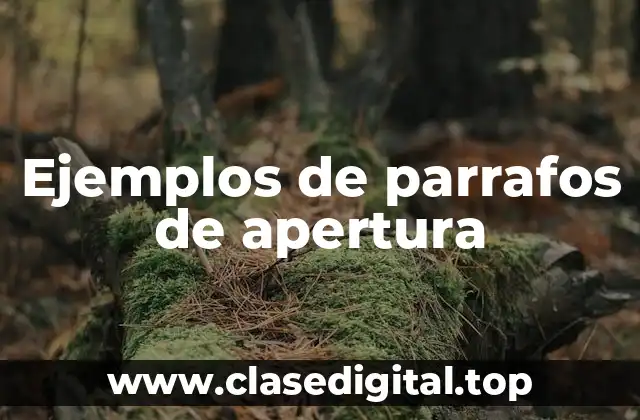 Ejemplos de parrafos de apertura