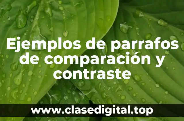 Ejemplos de parrafos de comparación y contraste