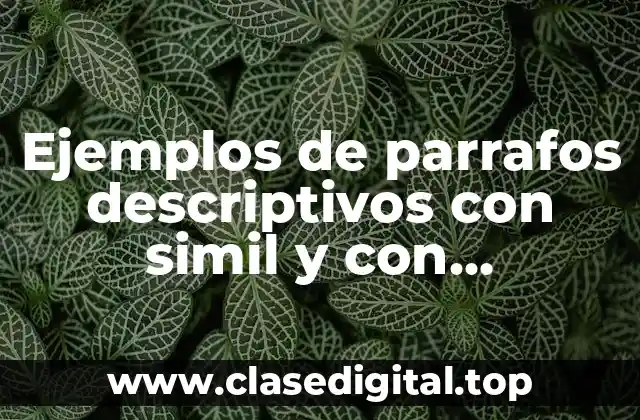Ejemplos de parrafos descriptivos con simil y con metaforas
