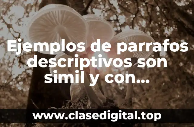 Ejemplos de parrafos descriptivos son simil y con metaforas ejemplos y Significado
