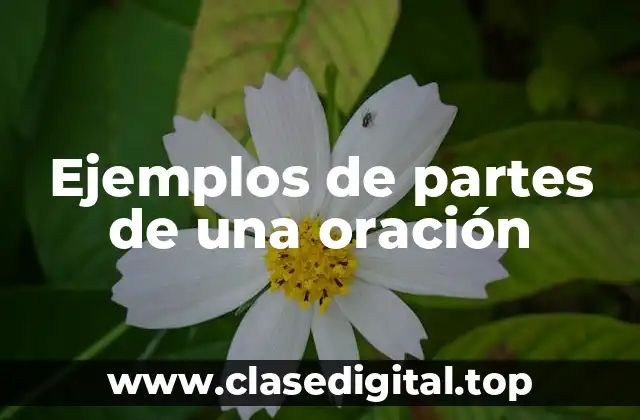 Ejemplos de partes de una oración