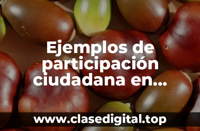 Ejemplos de participación ciudadana en Colombia y Significado