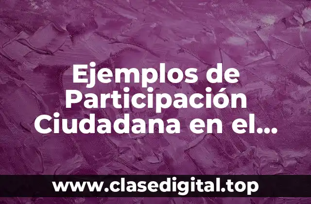 Ejemplos de Participación Ciudadana en el Ejercicio de Sus Derechos