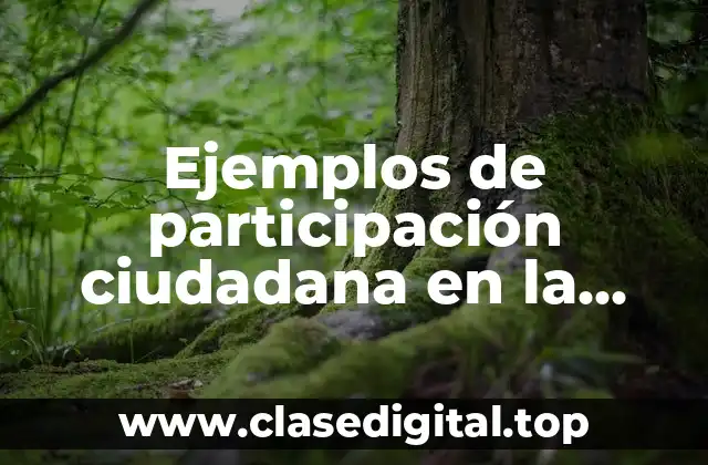 Ejemplos de participación ciudadana en la familia