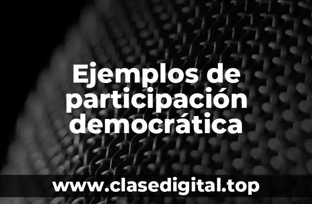 Ejemplos de participación democrática