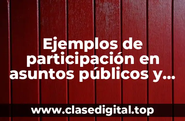 Ejemplos de participación en asuntos públicos y Significado