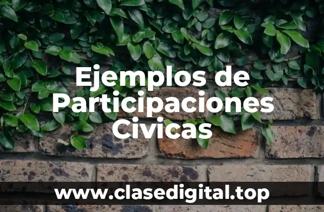 Ejemplos de Participaciones Civicas